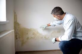 Best Attic Mold Removal  in Summerville, GA